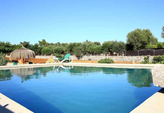 庄园 在 Muro - Sa Casita 225 acogedora finca en la naturaleza, con piscina privada, jardín, barbacoa y WiFi 庄园 在 Muro - Sa Casita 225 acogedora finca en la naturaleza, con piscina privada, jardín, barbacoa y WiFi