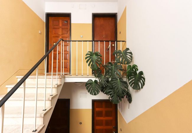 公寓 在 Lisboa - PRINCIPE REAL BALCONY 公寓 在 Lisboa - PRINCIPE REAL BALCONY
