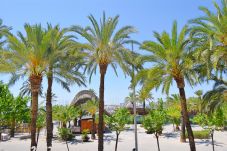 公寓 在 Port d´Alcudia - Pins-Tugores 134 acogedor apartamento en zona céntrica, balcón, aire acondicionado y WiFi