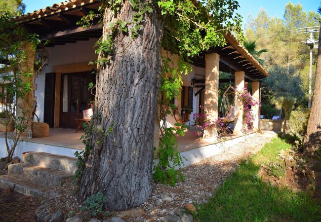 小屋 在 Alcudia - Trevol 020 fantástica casa con gran jardín y terraza, barbacoa, aire acondicionado y WiFi 小屋 在 Alcudia - Trevol 020 fantástica casa con gran jardín y terraza, barbacoa, aire acondicionado y WiFi