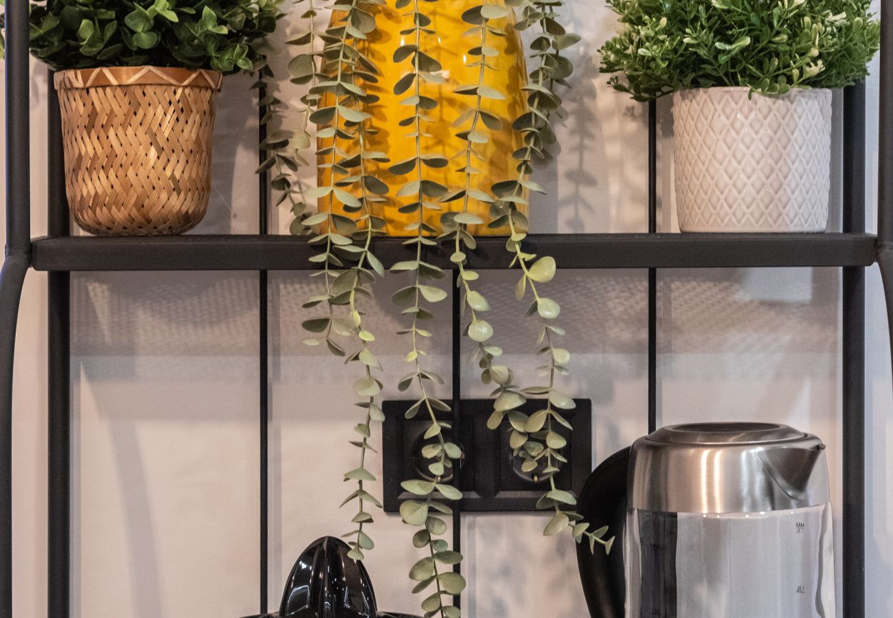 公寓 在 Bilbao - Sagar apartment 公寓 在 Bilbao - Sagar apartment