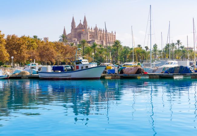 房屋 在 Sineu - Ca S'Escolà 175 tradicional casa mallorquina con jardín, gran barbacoa y WiFi 房屋 在 Sineu - Ca S'Escolà 175 tradicional casa mallorquina con jardín, gran barbacoa y WiFi