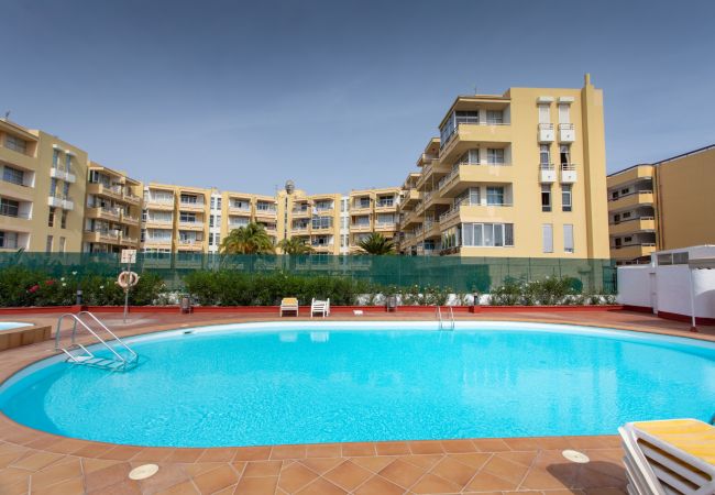 平房 在 Maspalomas - New 3BR with Great Terrace By CanariasGetaway  平房 在 Maspalomas - New 3BR with Great Terrace By CanariasGetaway