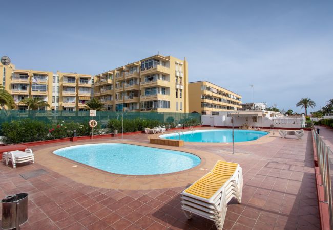 平房 在 Maspalomas - New 3BR with Great Terrace By CanariasGetaway  平房 在 Maspalomas - New 3BR with Great Terrace By CanariasGetaway
