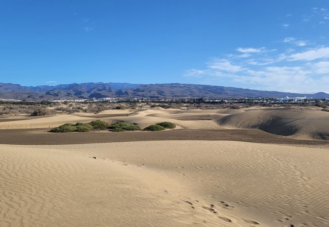平房 在 Maspalomas - New 3BR with Great Terrace By CanariasGetaway  平房 在 Maspalomas - New 3BR with Great Terrace By CanariasGetaway