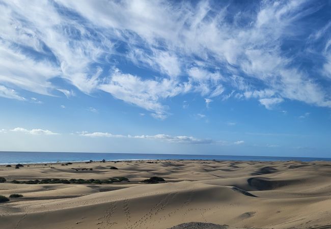 平房 在 Maspalomas - New 3BR with Great Terrace By CanariasGetaway  平房 在 Maspalomas - New 3BR with Great Terrace By CanariasGetaway