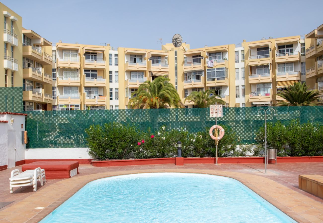 平房 在 Maspalomas - New 3BR with Great Terrace By CanariasGetaway  平房 在 Maspalomas - New 3BR with Great Terrace By CanariasGetaway