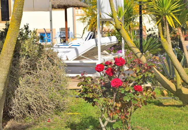 庄园 在 Ariany - Calderitx 253 fantástica finca con piscina privada, zona infantil, barbacoa y terraza 庄园 在 Ariany - Calderitx 253 fantástica finca con piscina privada, zona infantil, barbacoa y terraza