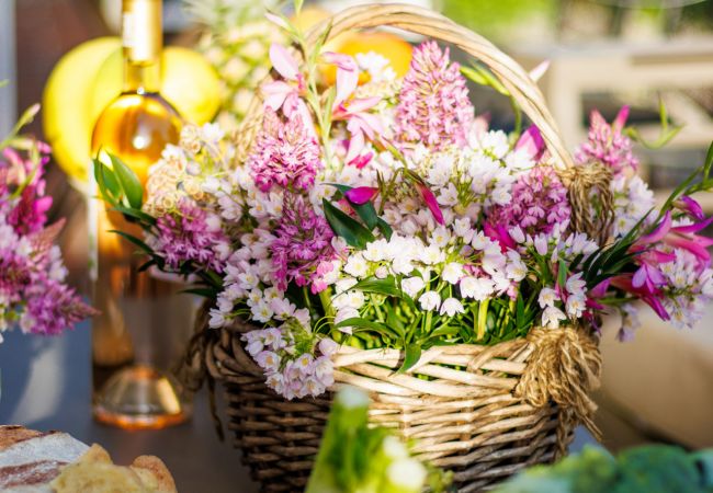 公寓 在 Monte San quirico - Jacopo Farmhouse Apartment in Wine Resort in Lucca 公寓 在 Monte San quirico - Jacopo Farmhouse Apartment in Wine Resort in Lucca