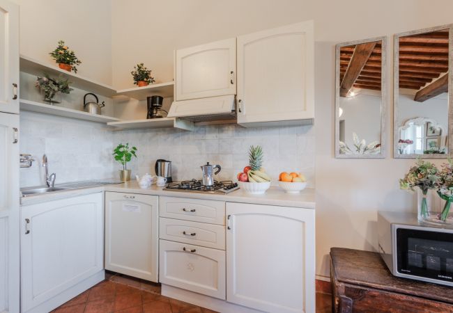 公寓 在 Monte San quirico - Anna Farmhouse Apartment in Wine Resort in Lucca 公寓 在 Monte San quirico - Anna Farmhouse Apartment in Wine Resort in Lucca