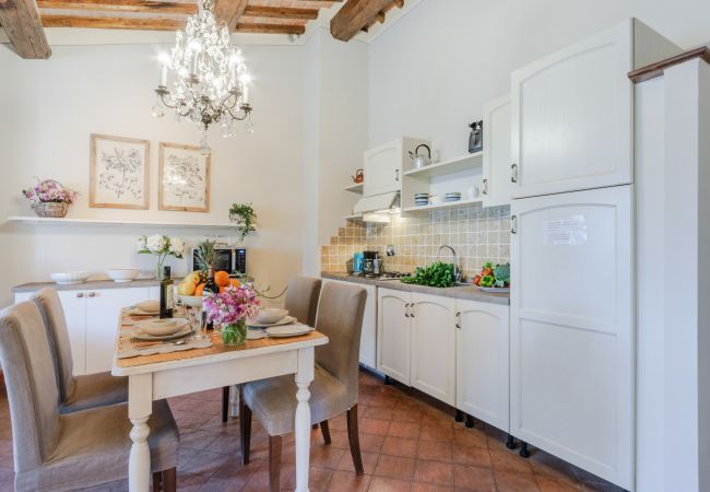 公寓 在 Monte San quirico - Maria Farmhouse Apartment in Wine Resort in Lucca 公寓 在 Monte San quirico - Maria Farmhouse Apartment in Wine Resort in Lucca