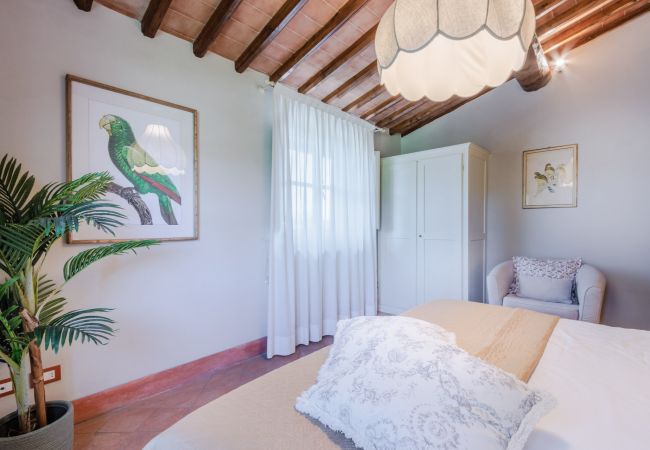 公寓 在 Monte San quirico - Maria Farmhouse Apartment in Wine Resort in Lucca 公寓 在 Monte San quirico - Maria Farmhouse Apartment in Wine Resort in Lucca