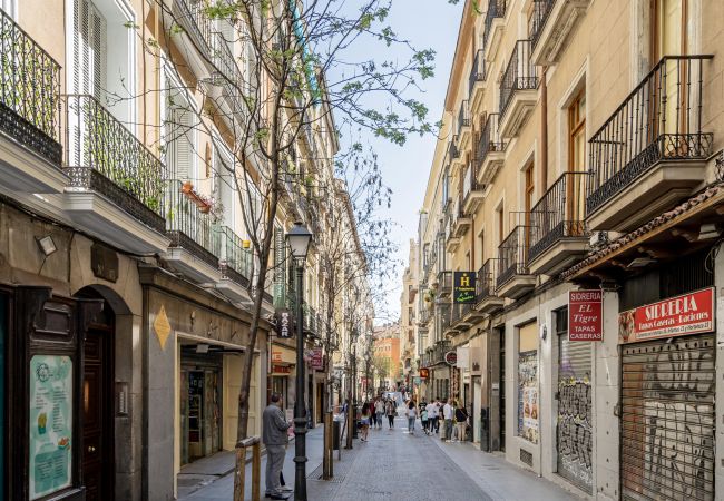 公寓 在 Madrid - Hermoso apartamento Plaza Zerolo INF1C 公寓 在 Madrid - Hermoso apartamento Plaza Zerolo INF1C