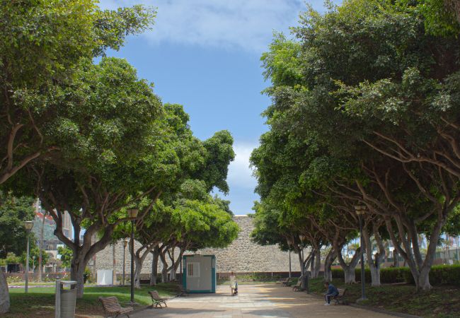 房屋 在 Las Palmas de Gran Canaria - Rejon Hideaway A By CanariasGetaway 房屋 在 Las Palmas de Gran Canaria - Rejon Hideaway A By CanariasGetaway