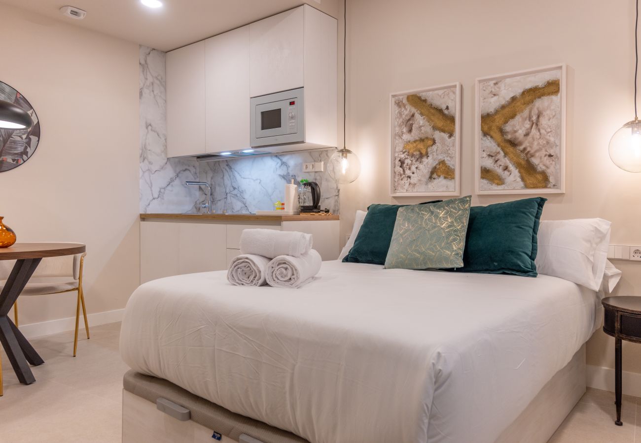 工作室 在 Madrid - Liria: Un Espacio de Elegancia y Confort en el Corazón de la Ciudad 工作室 在 Madrid - Liria: Un Espacio de Elegancia y Confort en el Corazón de la Ciudad