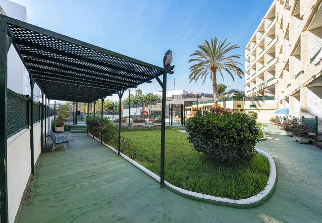 房屋 在 Maspalomas - Beach View Apartment I  房屋 在 Maspalomas - Beach View Apartment I