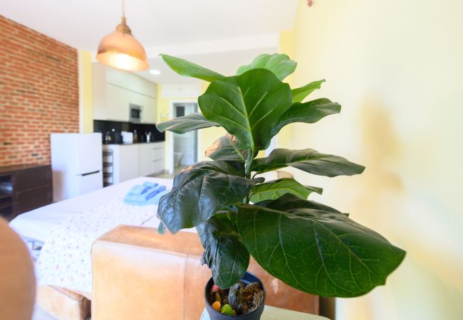 工作室 在 Madrid - Estudio con balcón – Todo lo que necesitas para una estancia perfecta en Madrid. Temporal 工作室 在 Madrid - Estudio con balcón – Todo lo que necesitas para una estancia perfecta en Madrid. Temporal